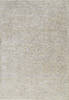 Dynamic LARA Beige 67 X 96 Area Rug LR71014629890 801-156722 Thumb 0