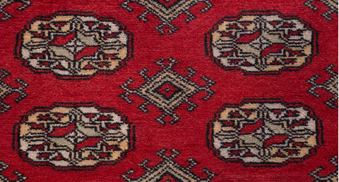 Bokhara Red Hand Knotted 51 X 79 Area Rug 700-156771 Image 5