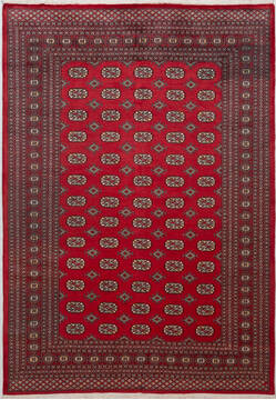 Bokhara Red Hand Knotted 6'2" X 8'10"  Area Rug 700-156773