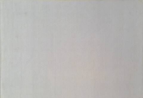 Geometric Beige Hand Knotted 100 X 140  Area Rug 660-156894 Image 0