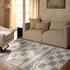 Jaipur Living Composure Beige Runner 28 X 80 Area Rug RUG162321 803-156981 Thumb 4