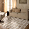 Jaipur Living Composure Beige 40 X 58 Area Rug RUG162287 803-156990 Thumb 4