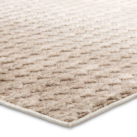 Jaipur Living Composure Beige Runner 28 X 80 Area Rug RUG162300 803-156997 Image 1