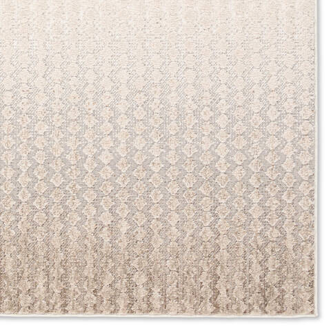 Jaipur Living Composure Beige Runner 28 X 80 Area Rug RUG162300 803-156997 Image 3