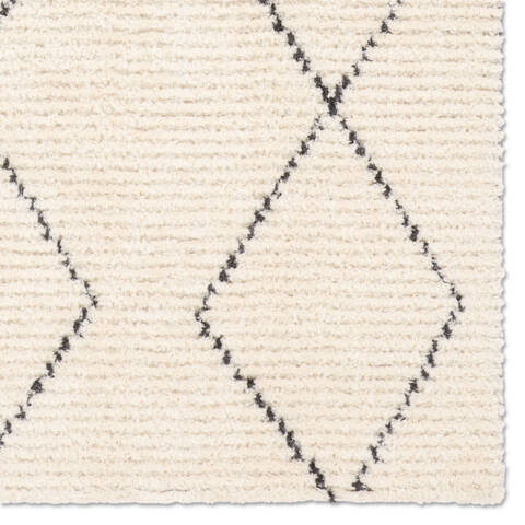 Jaipur Living Tamry Beige 50 X 80 Area Rug RUG161750 803-157507 Image 3