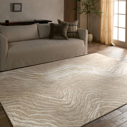 Jaipur Living Toprak Beige 76 X 96 Area Rug RUG162476 803-157553 Image 4