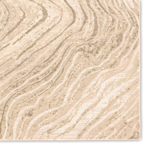 Jaipur Living Toprak Beige 60 X 90 Area Rug RUG162630 803-157554 Image 3