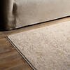 Jaipur Living Vekhea Beige 86 X 116 Area Rug RUG158700 803-157567 Thumb 5