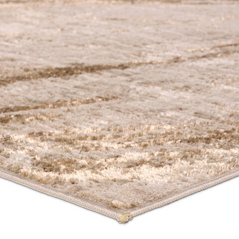 Jaipur Living Zein Beige 60 X 93 Area Rug RUG163593 803-157585 Image 1
