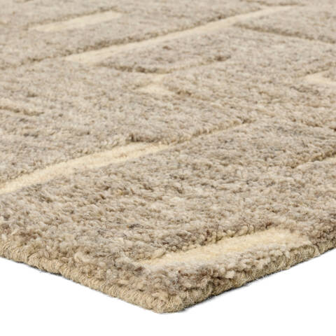 Jaipur Living Reyner Beige 60 X 90 Area Rug RUG163669 803-157670 Image 1