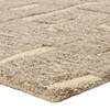 Jaipur Living Reyner Beige 60 X 90 Area Rug RUG163669 803-157670 Thumb 1