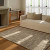 Jaipur Living Reyner Beige 60 X 90 Area Rug RUG163669 803-157670 Thumb 5