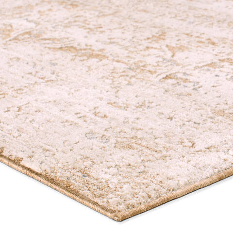 Jaipur Living Zarif Beige 60 X 90 Area Rug RUG163859 803-157700 Image 1