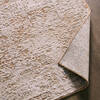 Jaipur Living Zarif Beige 60 X 90 Area Rug RUG163859 803-157700 Thumb 5