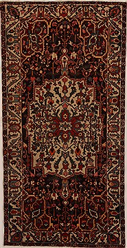 Persian Bakhtiar Brown Runner 10 to 12 ft Wool Carpet 16002