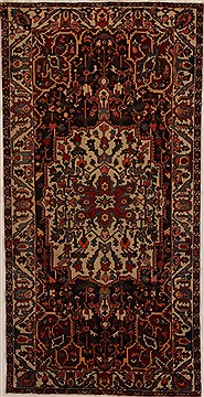 Persian Bakhtiar Brown Runner 10 to 12 ft Wool Carpet 16002