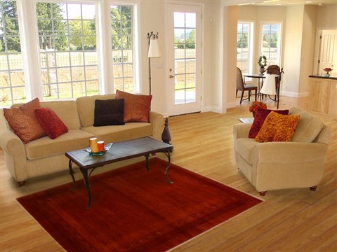 Gabbeh Red Hand Knotted 311 X 511 Area Rug 250-16103 Image 5