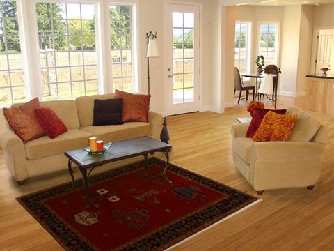 Gabbeh Red Hand Knotted 40 X 60 Area Rug 250-16106 Image 5