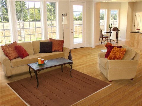 Gabbeh Beige Hand Knotted 310 X 59 Area Rug 250-16108 Image 5