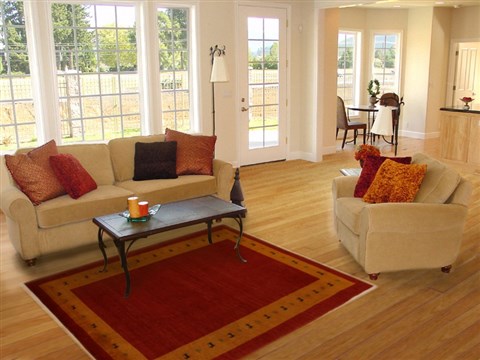 Gabbeh Red Hand Knotted 42 X 63 Area Rug 250-16109 Image 5