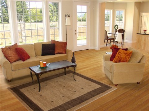Gabbeh Beige Hand Knotted 41 X 64 Area Rug 250-16114 Image 5
