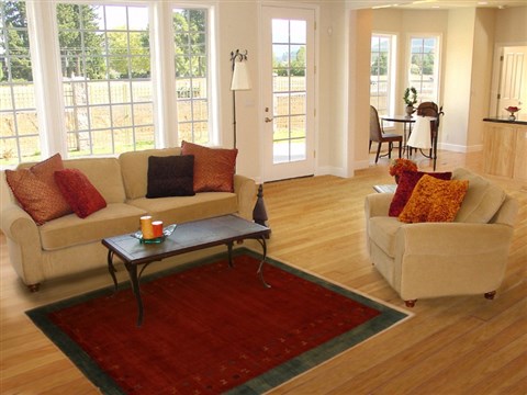 Gabbeh Red Hand Knotted 45 X 62 Area Rug 250-16117 Image 5