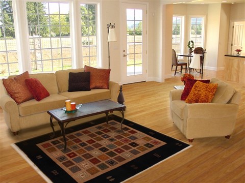 Gabbeh Multicolor Hand Knotted 44 X 59 Area Rug 250-16118 Image 5