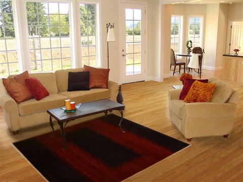 Gabbeh Brown Hand Knotted 40 X 511 Area Rug 250-16121 Image 5
