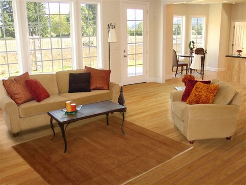 Gabbeh Beige Hand Knotted 311 X 510 Area Rug 250-16122 Image 5