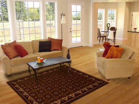 Modern Brown Machine Made 53 X 77 Area Rug 100-16129 Image 4