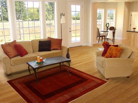 Gabbeh Red Flat Woven 41 X 61 Area Rug 250-16139 Image 5