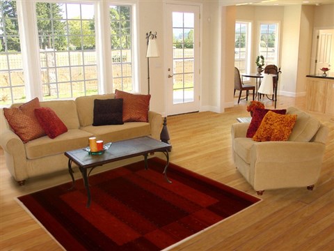Gabbeh Red Hand Knotted 40 X 60 Area Rug 250-16140 Image 5