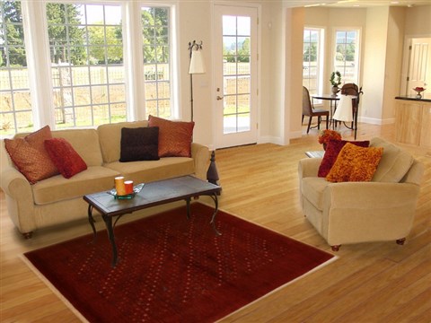 Gabbeh Red Hand Knotted 41 X 60 Area Rug 250-16141 Image 5