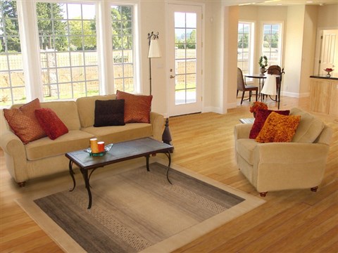 Gabbeh Beige Hand Knotted 40 X 60 Area Rug 250-16147 Image 5
