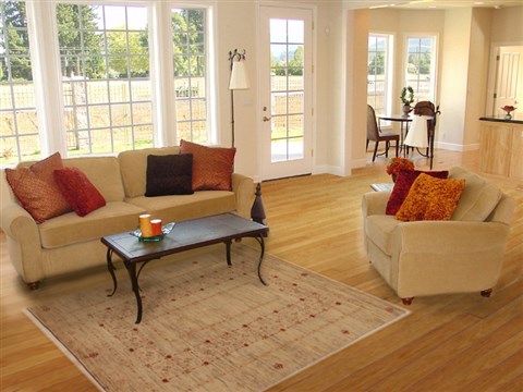 Gabbeh Beige Hand Knotted 40 X 57 Area Rug 250-16148 Image 5