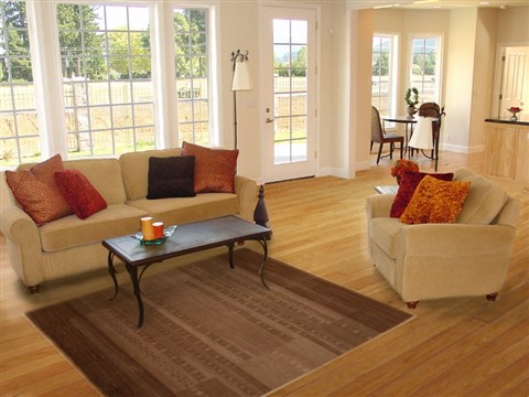 Gabbeh Beige Hand Knotted 42 X 61 Area Rug 250-16151 Image 5