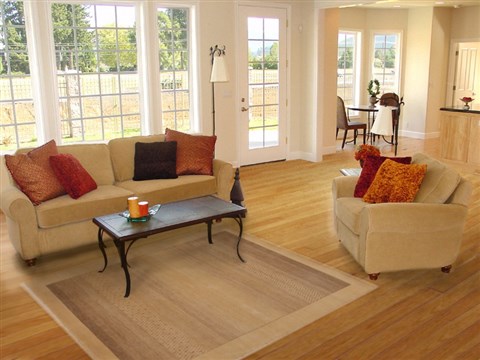 Gabbeh Beige Hand Knotted 41 X 61 Area Rug 250-16153 Image 5