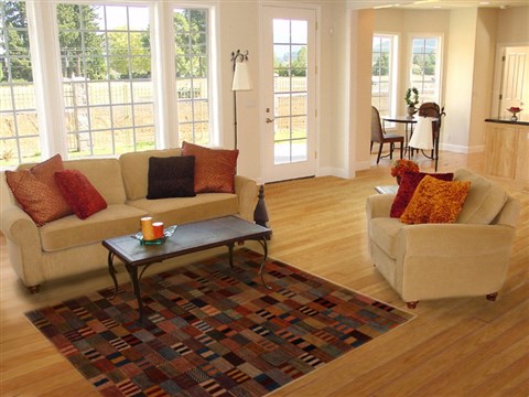 Gabbeh Multicolor Hand Knotted 41 X 59 Area Rug 250-16156 Image 5