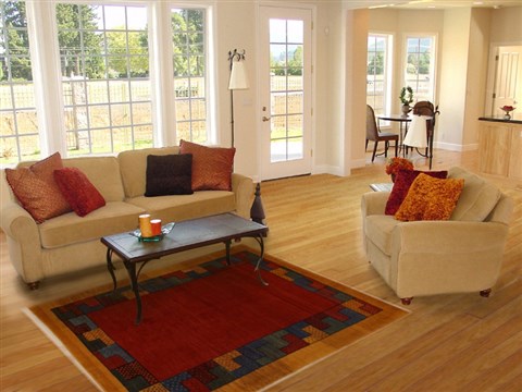 Gabbeh Red Hand Knotted 41 X 60 Area Rug 250-16161 Image 5