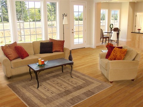 Gabbeh Beige Hand Knotted 40 X 60 Area Rug 250-16166 Image 5