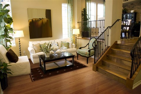 Modern Brown Machine Made 53 X 73 Area Rug 100-16171 Image 4