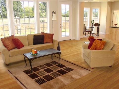 Modern Brown Machine Made 51 X 75 Area Rug 100-16175 Image 5