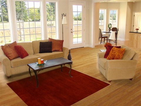 Gabbeh Red Hand Knotted 41 X 511 Area Rug 250-16179 Image 5
