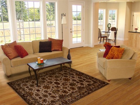 Jaipur White Hand Tufted 50 X 80 Area Rug 100-16186 Image 4