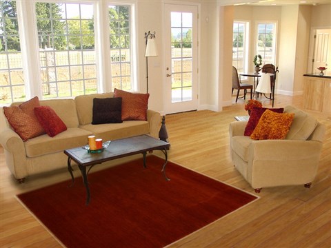 Gabbeh Red Hand Knotted 41 X 511 Area Rug 250-16188 Image 5