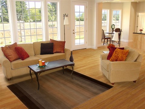 Modern Brown Machine Made 50 X 80 Area Rug 100-16201 Image 4