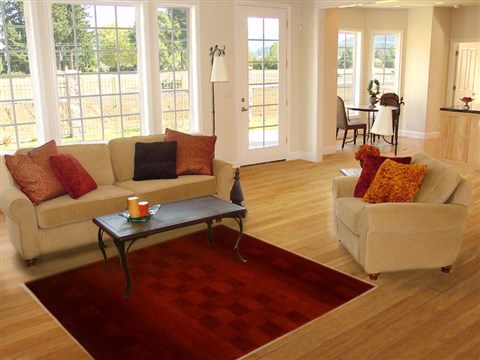 Gabbeh Red Hand Knotted 41 X 62 Area Rug 250-16209 Image 5