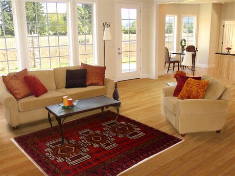 Baluch Red Hand Knotted 36 X 63 Area Rug 100-16274 Image 5