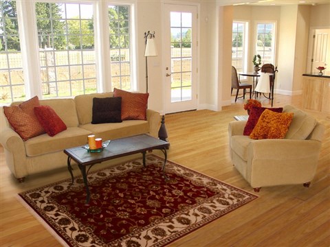 Jaipur Red Hand Knotted 40 X 61 Area Rug 100-16299 Image 5