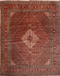Sarab Red Hand Knotted 10'0" X 13'1"  Area Rug 100-16300